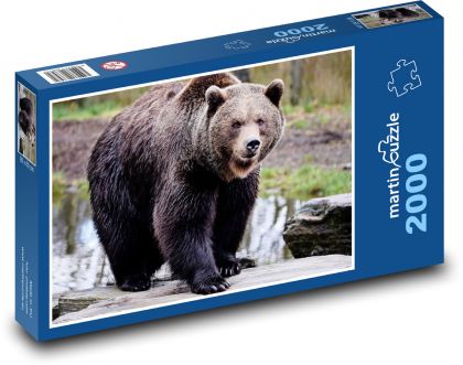 Brown bear - hunter, animal - Puzzle 2000 pieces, size 90x60 cm 