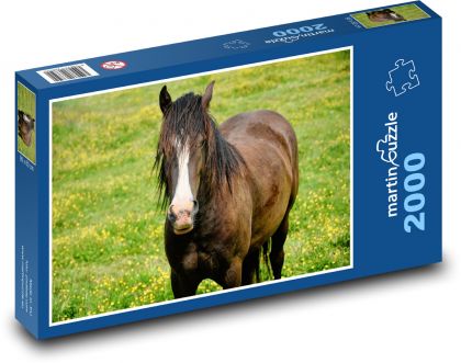 Hnědý kůň - zvíře, louka - Puzzle 2000 dílků, rozměr 90x60 cm