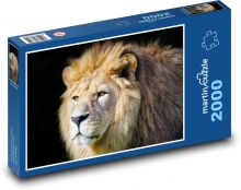 Lev - hříva, savec Puzzle 2000 dílků - 90 x 60 cm