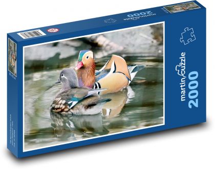 Kachnička mandarinská - kachna, pták - Puzzle 2000 dílků, rozměr 90x60 cm