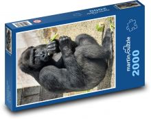 Gorilla - Affe, privat Puzzle 2000 Teile - 90 x 60 cm
