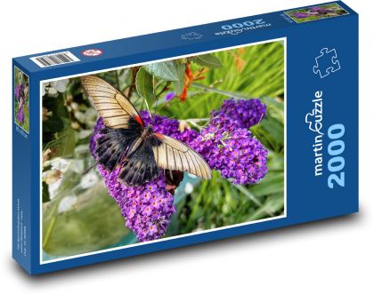 Motýl - květina, hmyz  - Puzzle 2000 dílků, rozměr 90x60 cm