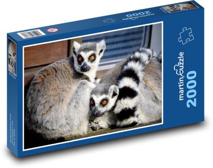 Lemur - zoo, savec - Puzzle 2000 dílků, rozměr 90x60 cm