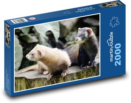Fretky - zvieratá, cicavce - Puzzle 2000 dielikov, rozmer 90x60 cm 