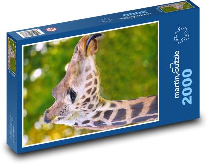 Žirafa - zviera, divá zver - Puzzle 2000 dielikov, rozmer 90x60 cm 