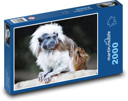 Tamarín - opice, zvíře - Puzzle 2000 dílků, rozměr 90x60 cm