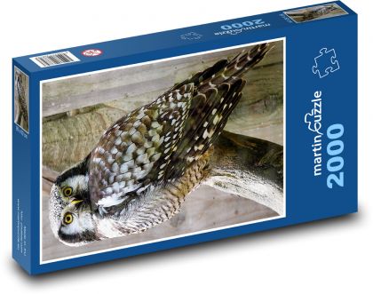 Sova - nočný vták, zviera - Puzzle 2000 dielikov, rozmer 90x60 cm 