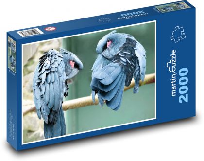 Palmový kakadu - pták, zoo - puzzle 2000 dílků