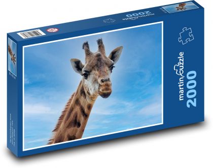 Giraffe - Tier, Säugetier - Puzzle - 2000 Teile
