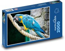 Parrot on a rope - bird, macaw Puzzle 2000 pieces - 90 x 60 cm