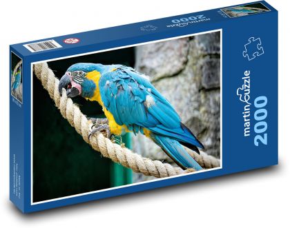Papoušek na laně - pták, ara - Puzzle 2000 dílků, rozměr 90x60 cm