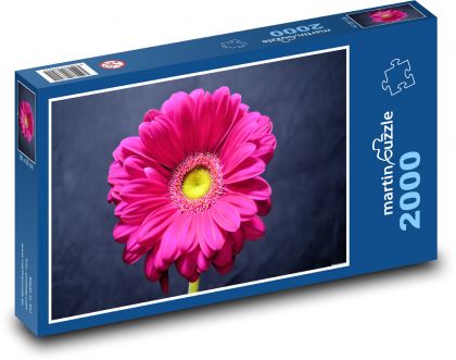 Ružová gerbera - kvetina, záhrada - Puzzle 2000 dielikov, rozmer 90x60 cm 