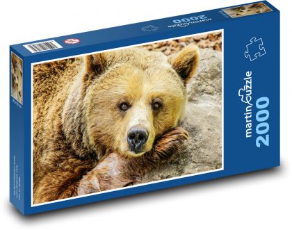 Brown bear - animal, zoo - Puzzle 2000 pieces, size 90x60 cm 