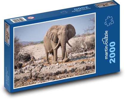 Slon - Namibie, národní park - Puzzle 2000 dílků, rozměr 90x60 cm