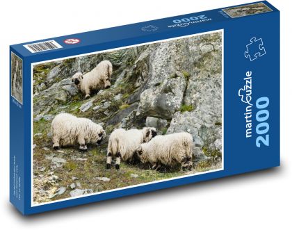 Schafe - Rinder, Felsen - Puzzle - 2000 Teile