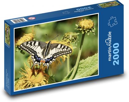 Motýl na květině - opýlení, hmyz - Puzzle 2000 dílků, rozměr 90x60 cm