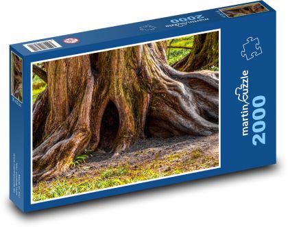 Starý strom - kmen, kůra - Puzzle 2000 dílků, rozměr 90x60 cm