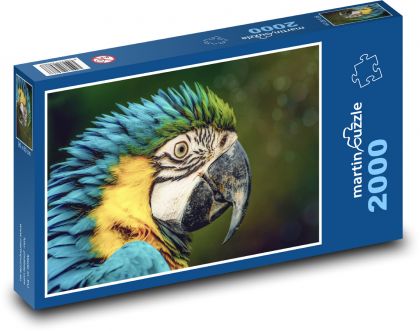 Papoušek - ara, pták - Puzzle 2000 dílků, rozměr 90x60 cm
