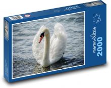 Labuť - biely vták, voda Puzzle 2000 dielikov - 90 x 60 cm