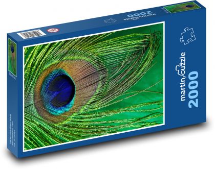 Peacock feathers - peacock, bird - Puzzle 2000 pieces, size 90x60 cm 