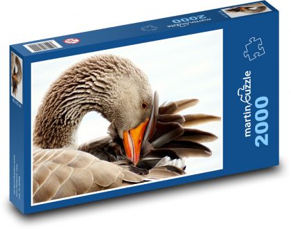 Divoká husa - vodní pták, zvíře  - puzzle 2000 dílků