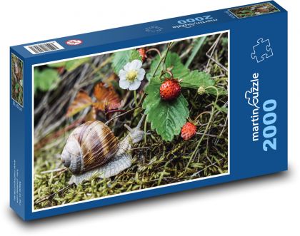 Ślimak - truskawki, las - Puzzle 2000 elementów, rozmiar 90x60 cm