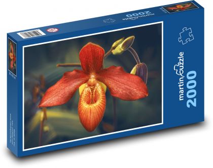 Tropická orchidea - kvet, kvet - Puzzle 2000 dielikov, rozmer 90x60 cm 