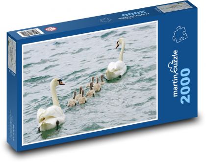 Swan rodina - vodné vtáctvo, kurčatá - Puzzle 2000 dielikov, rozmer 90x60 cm 