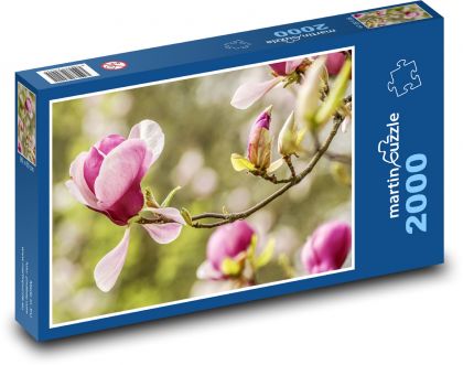 Magnolia - spring flower, garden - Puzzle 2000 pieces, size 90x60 cm 
