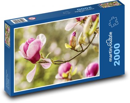 Magnolia - jarná kvetina, záhrada - Puzzle 2000 dielikov, rozmer 90x60 cm 