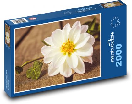 Dahlie – Gartenblume, Blüte - Puzzle - 2000 Teile