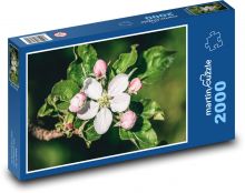 Apple blossom - branch, tree Puzzle 2000 pieces - 90 x 60 cm