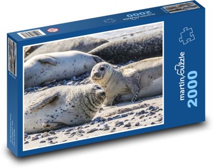 Tuleň - zvíře, pláž - Puzzle 2000 dílků, rozměr 90x60 cm