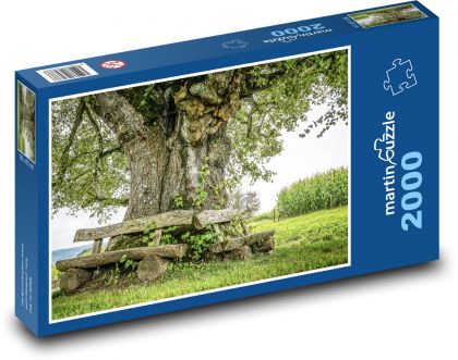 Starý strom - lavička, kmeň - Puzzle 2000 dielikov, rozmer 90x60 cm 