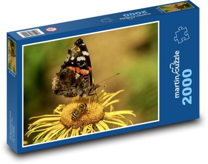 Butterfly - pollination, bee - Puzzle 2000 pieces, size 90x60 cm 