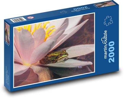 Frog - water lily, water - Puzzle 2000 pieces, size 90x60 cm 