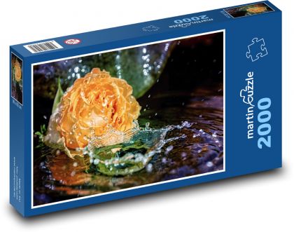 Ruže - rastlina, kvet - Puzzle 2000 dielikov, rozmer 90x60 cm 
