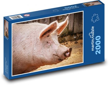 Prase domácí - farma, zvíře - puzzle 2000 dílků