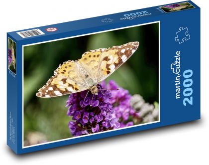 Motýl - léto, hmyz - Puzzle 2000 dílků, rozměr 90x60 cm
