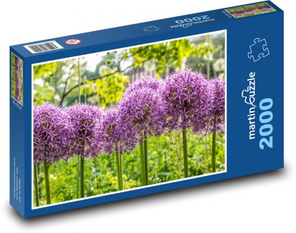 Okrasná cibule - fialový květ, rostlina - Puzzle 2000 dílků, rozměr 90x60 cm