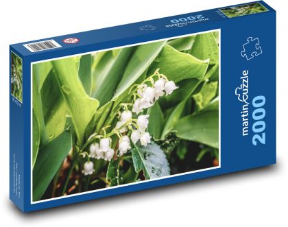 Bílá konvalinka - květ, jaro  - Puzzle 2000 dílků, rozměr 90x60 cm