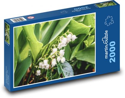 Weiße Maiglöckchen - Blume, Frühling - Puzzle - 2000 Teile