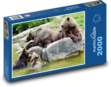 Medvědí mláďata - zvířata, zoo - Puzzle 2000 dílků, rozměr 90x60 cm