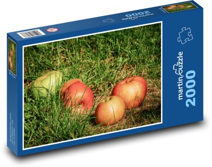 Jablká v tráve - ovocie, spadnuté - Puzzle 2000 dielikov, rozmer 90x60 cm 