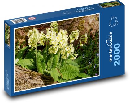Petrklíč - žlté kvety, kvet - Puzzle 2000 dielikov, rozmer 90x60 cm 