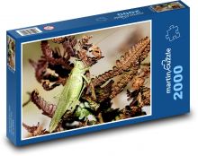 Zelené saranče - hmyz, rostlina Puzzle 2000 dílků - 90 x 60 cm