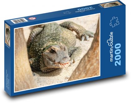 Krokodýl - nebezpečný plaz - Puzzle 2000 dílků, rozměr 90x60 cm