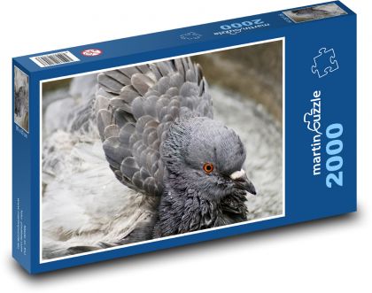 Holubica - vták, perie - Puzzle 2000 dielikov, rozmer 90x60 cm 
