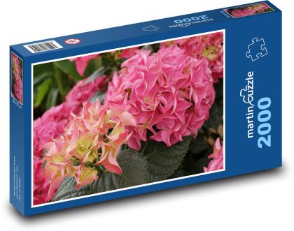 Flower hydrangea - ornamental shrub, plant - Puzzle 2000 pieces, size 90x60 cm 
