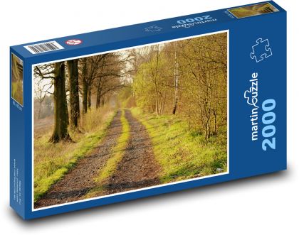 Polní cesta - les, jaro - Puzzle 2000 dílků, rozměr 90x60 cm
